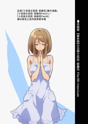 第29頁圖