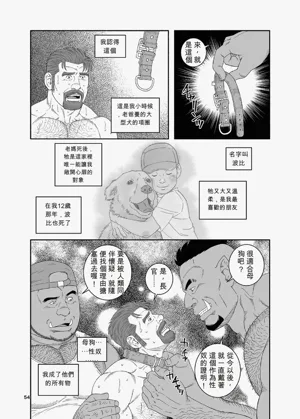 第54頁圖