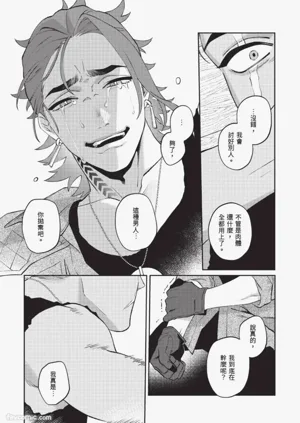 第132頁圖