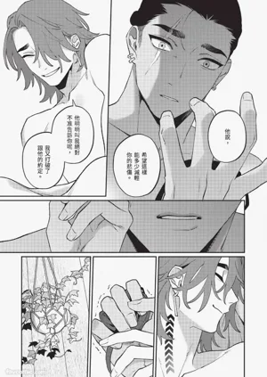 第213頁圖