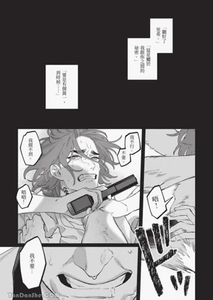 第28頁圖