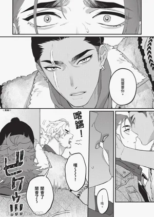 第41頁圖