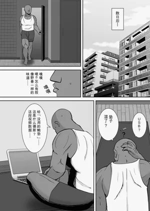 第113頁圖