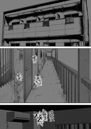 第237頁圖