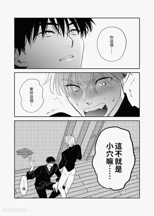 第17页图