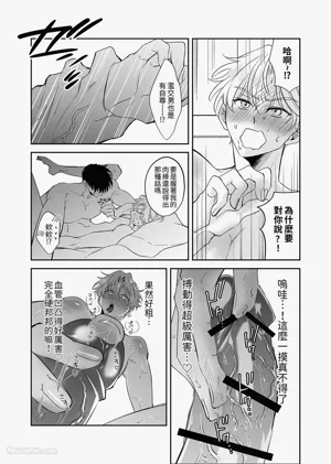 第33页图