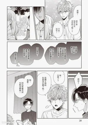 第20頁圖