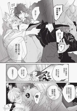 第14頁圖