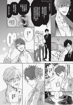 第8页图