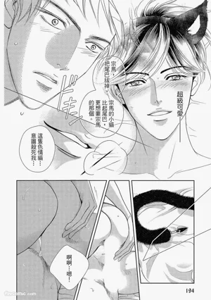 第195頁圖
