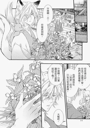 第13页图