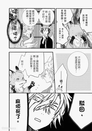 第23页图
