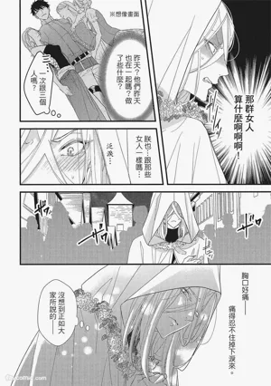 第163頁圖