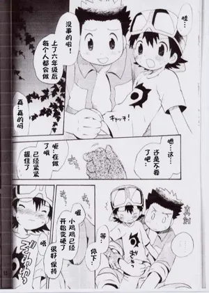 第11页图