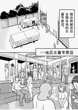 第13页图