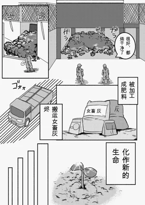 第67页图