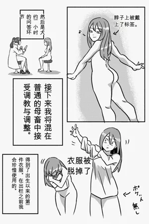 第8页图