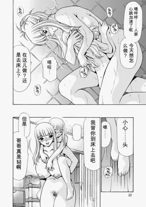 第21頁圖