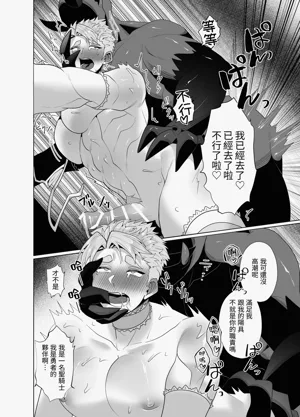 第17頁圖