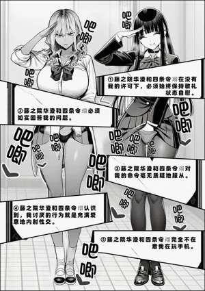 第25页图