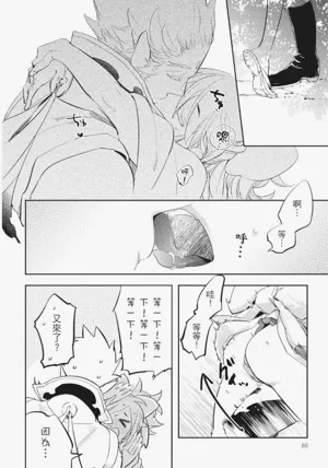 第87頁圖