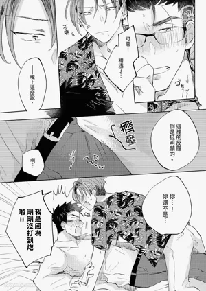 第22頁圖