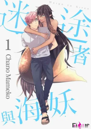 Maigo to Siren︱迷途者與海妖圖