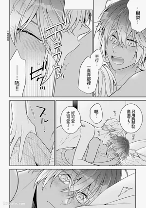 第142頁圖