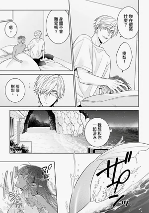第155頁圖