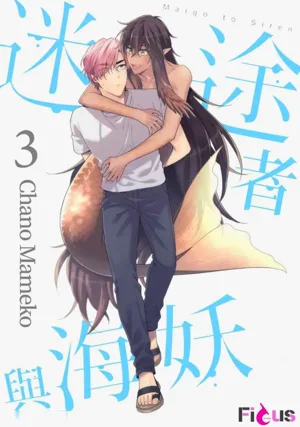 第68頁圖