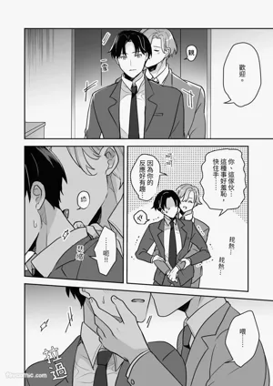 第17页图