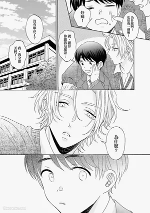 第115頁圖