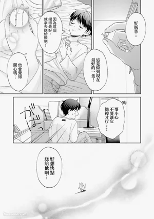 第135頁圖