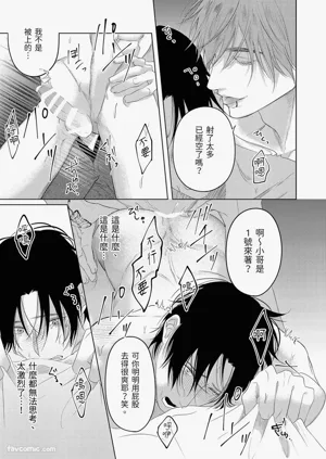 第17頁圖
