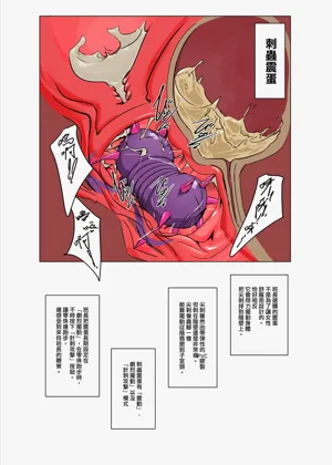 第17頁圖