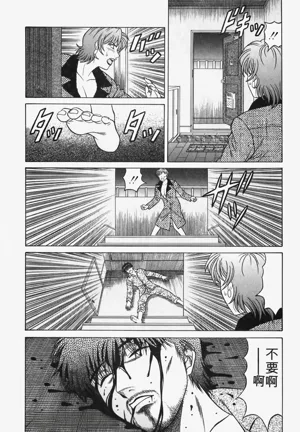 第207頁圖