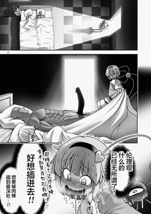 第25页图