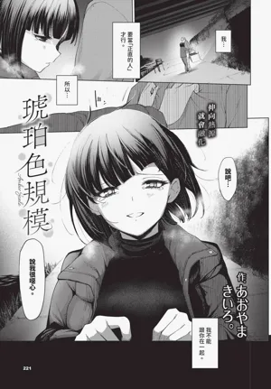 第221頁圖