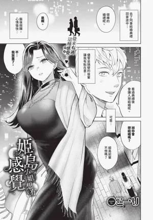 第381頁圖