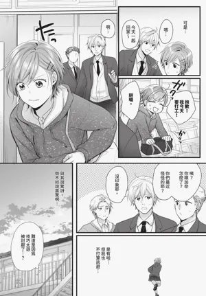 第510頁圖