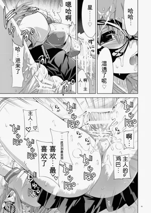 第27页图