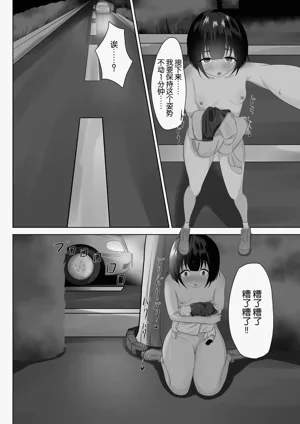 第17页图