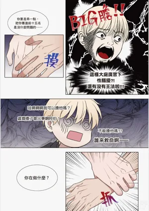 第110页图