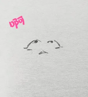 第11页图