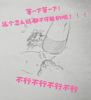 第13页图