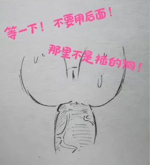 第16页图