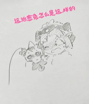 第17页图