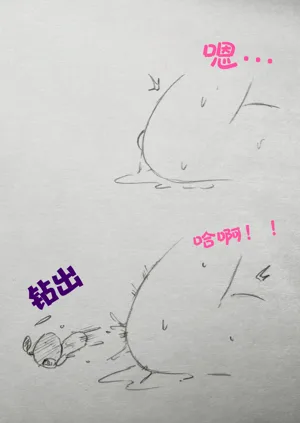 第20页图