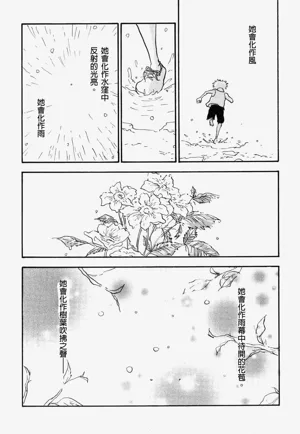 第41頁圖