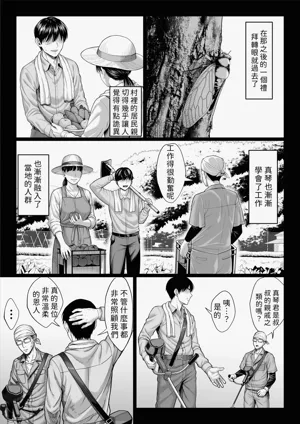 第13頁圖